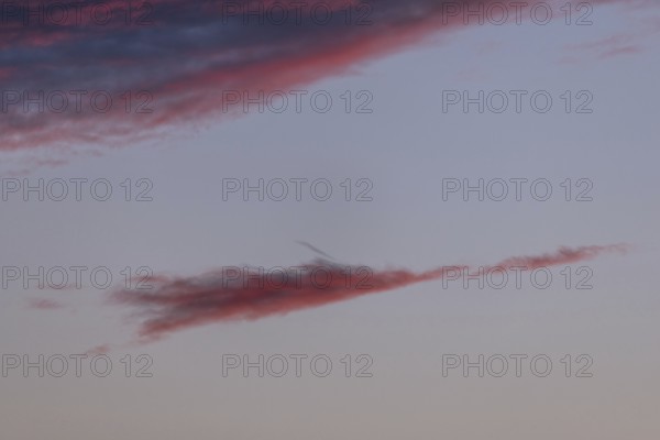 Colourful clouds form in the evening sky and present shades of red and blue. This natural spectacle offers a peaceful and captivating atmosphere