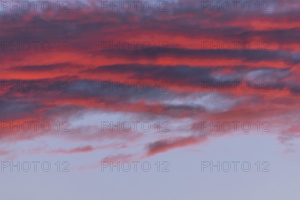 Colourful clouds form in the evening sky and present shades of red and blue. This natural spectacle offers a peaceful and captivating atmosphere