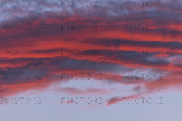 Colourful clouds form in the evening sky and present shades of red and blue. This natural spectacle offers a peaceful and captivating atmosphere