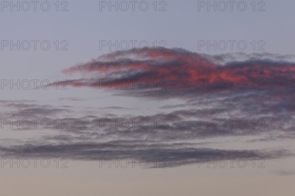 Colourful clouds form in the evening sky and present shades of red and blue. This natural spectacle offers a peaceful and captivating atmosphere