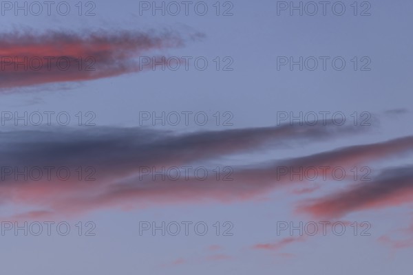 Colourful clouds form in the evening sky and present shades of red and blue. This natural spectacle offers a peaceful and captivating atmosphere