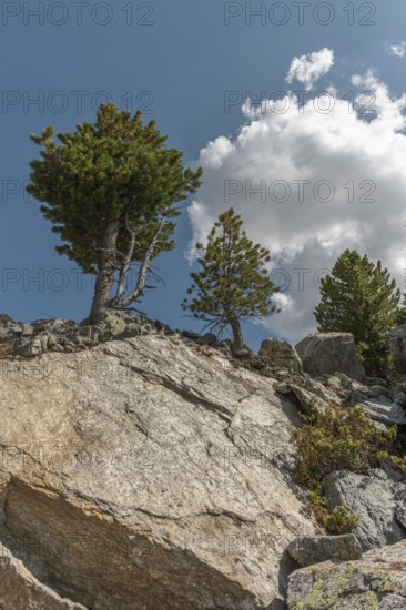 Rocks stand proudly, surrounded by robust trees. The sky is blue with a few white clouds. Beautiful natural scenery in the middle of the day