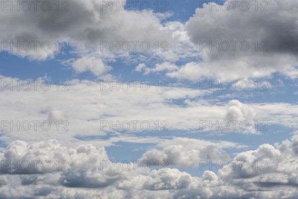 Dense clouds float in the blue sky and create a calming landscape. Natural light illuminates the different shapes and textures of the clouds