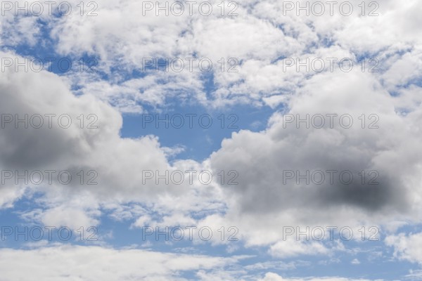 Dense clouds float in the blue sky and create a calming landscape. Natural light illuminates the different shapes and textures of the clouds