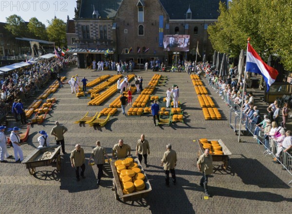 Participants on a market square with cheese wheels and flags, surrounded by people in a festive atmosphere, aerial view, cheese, cheese market, Alkmaar, Alkmar, Noord-Holland, Noord-Holland, Netherlands