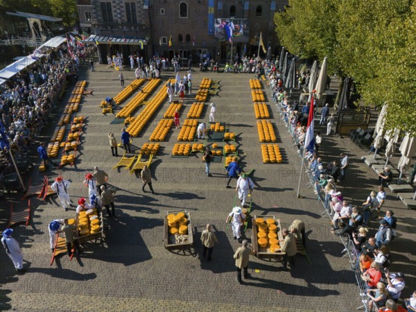 Market event in a city centre with cheese sellers and spectators on a sunny day, aerial view, cheese, cheese market, Alkmaar, Alkmar, Noord-Holland, Noord-Holland, Netherlands