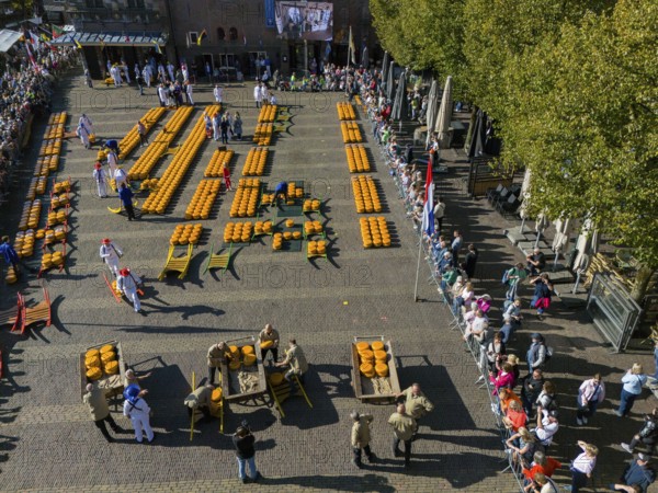 Traditional Dutch cheese market scene with rows of cheese, watched by numerous spectators, aerial view, cheese, cheese market, Alkmaar, Alkmar, Noord-Holland, North-Holland, Netherlands