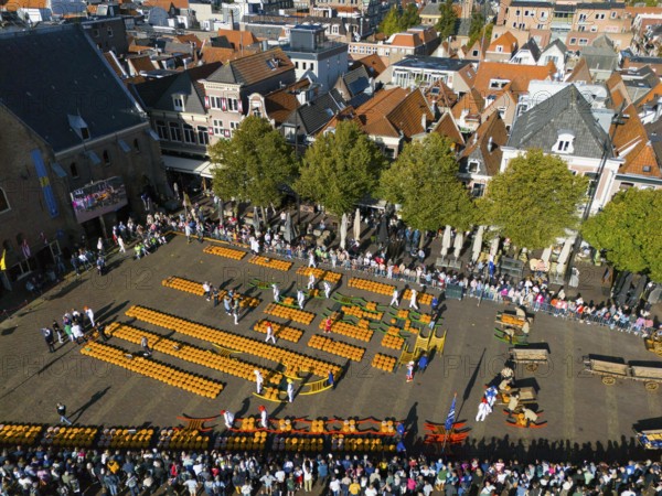 Aerial view of a busy marketplace with orange cheese and people, aerial view, cheese, cheese market, Alkmaar, Alkmar, Noord-Holland, Noord-Holland, Netherlands