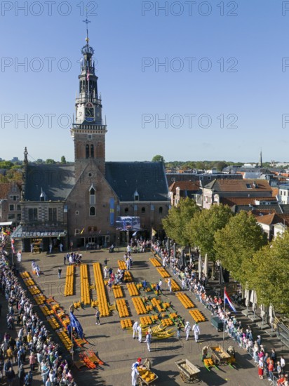 Market square with cheese wheels in front of a church and many visitors in sunny weather, aerial view, cheese, cheese market, former city scales, Alkmaar, Alkmar, Noord-Holland, Noord-Holland, Netherlands