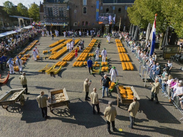 Traditional market with cheese wagon and participants, crowds and historic building in the background, aerial view, cheese, cheese market, Alkmaar, Alkmar, Noord-Holland, Noord-Holland, Netherlands