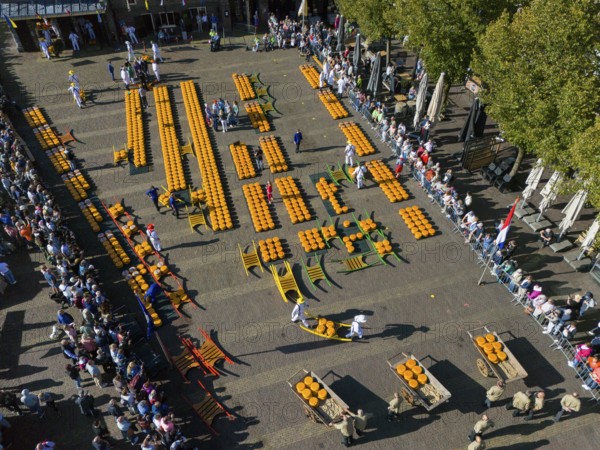 A traditional Dutch cheese market with many people and cheese arranged in rows, aerial view, cheese, cheese market, Alkmaar, Alkmar, Noord-Holland, Noord-Holland, Netherlands