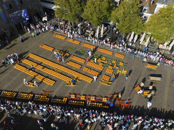 Bird's eye view of busy market square with orange cheeses lined up in a row, aerial view, cheese, cheese market, Alkmaar, Alkmar, Noord-Holland, Noord-Holland, Netherlands