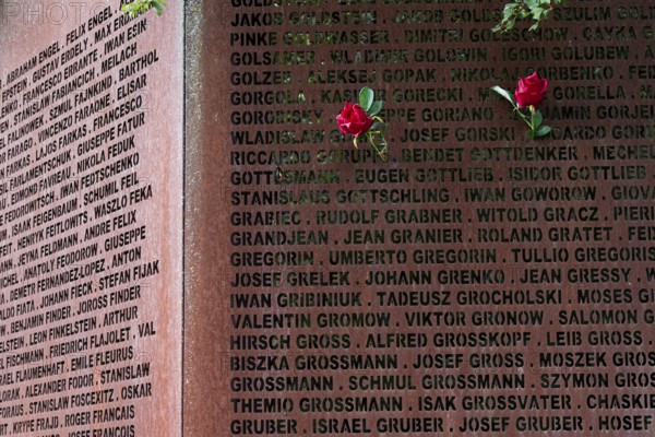 Pinned roses, name wall made of steel plates with a total of 2908 laser-engraved names of former concentration camp prisoners and forced labourers, station on the Path of Remembrance, Leonberg Concentration Camp Memorial, Leonberg, Baden-Württemberg