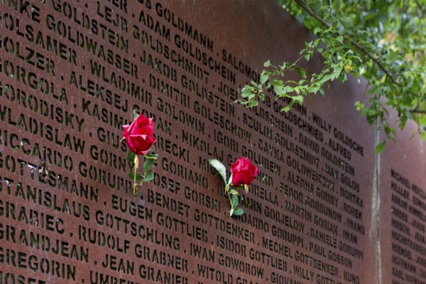 Pinned roses, name wall made of steel plates with a total of 2908 laser-engraved names of former concentration camp prisoners and forced labourers, station on the Path of Remembrance, Leonberg Concentration Camp Memorial, Leonberg, Baden-Württemberg