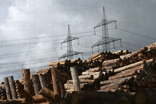 Enegie-Mann timber store in the Westerwald. The wood is processed into wood pellets, some of it into construction timber in the sawmill
