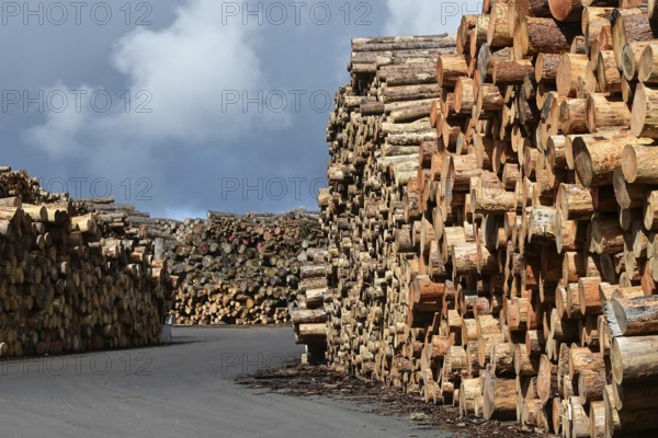 Enegie-Mann timber store in the Westerwald. The wood is processed into wood pellets, some of it into construction timber in the sawmill