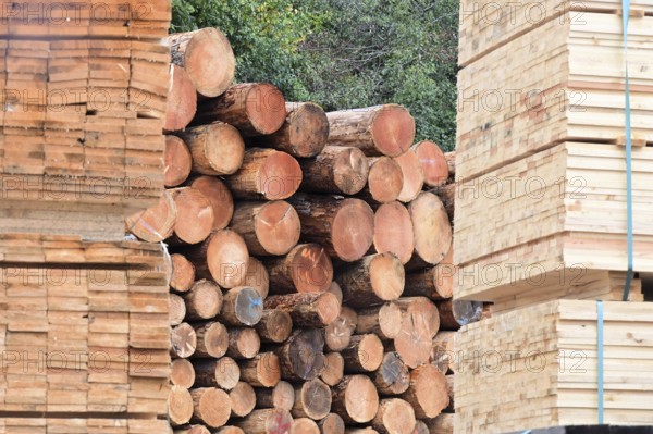 Enegie-Mann timber store in the Westerwald. The wood is processed into wood pellets, some of it into construction timber in the sawmill