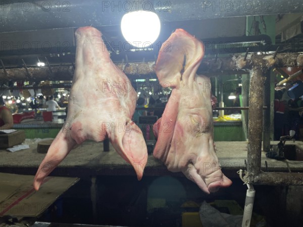 Market, market stall, pig heads, San Carlos, Negros Occidental, Philippines