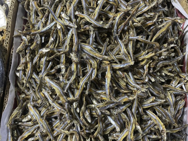 Market, market stall, fish, dried fish, San Carlos, Negros Occidental, Philippines