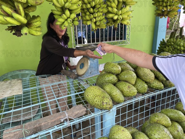 Vendor, market, market stall, customer pays, pay, money, fruit, durian, bananas, Negros Occidental, Philippines