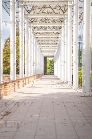 Modern portico with open structure, flooded with light, Munich, Germany
