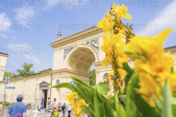Historic Tor tor with yellow flowers in the foreground and blossoming sky and architecture in the background, Munich, Germany