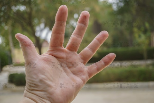 Open hand showing five fingers with a nature background in ronda, malaga, spain