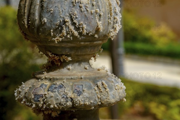 Detail of a weathered stone pillar covered in lichen, showcasing the effects of time and nature in a serene garden setting in ronda, malaga, spain in ronda, malaga, spain