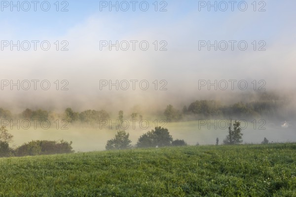 Early morning fog over the edge of a forest, Leoben, Styria, Austria