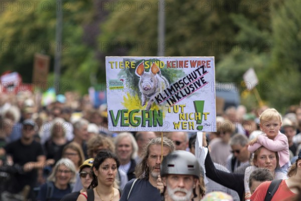 Worldwide climate strike by Fridays for Future under the motto Exit Gas - Enter Future, demonstration with rally at the fish market, Hamburg, Germany