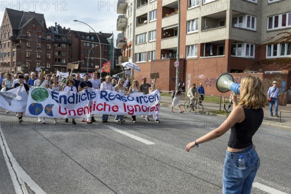Worldwide climate strike by Fridays for Future under the motto Exit Gas - Enter Future, demonstration with rally at the fish market, Hamburg, Germany