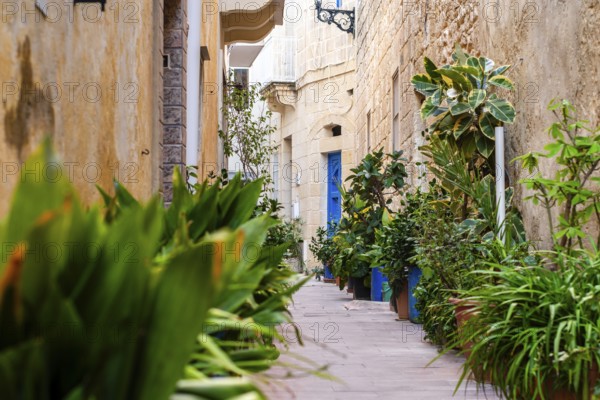 Charming medieval full of flowers street of Rabat Mdina in Malta