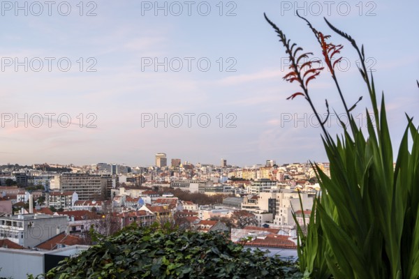 Beautiful Lisbon Rooftop and sky Views