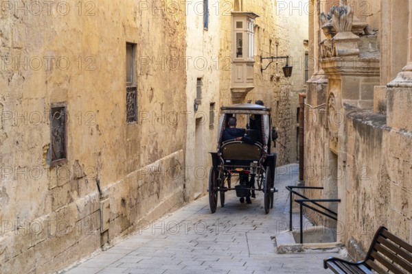 Horse carriage on historic street of L-Imdina, Rabat, Malta