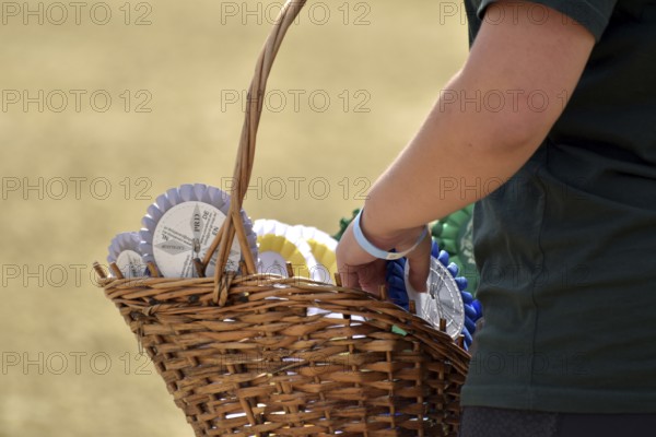 Basket with ribbons for winners and runners-up at an equestrian event, Rhineland-Palatinate, Germany
