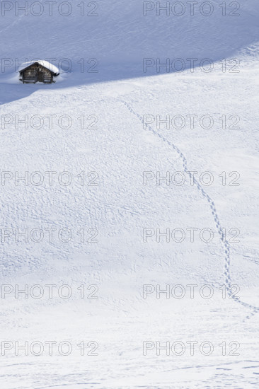 Footprints to a hut in the snow, Fiescheralp, Valais, Switzerland