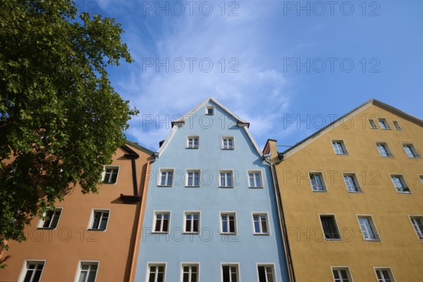 Colourful historic gabled facades with a tree in front of a blue sky, Regensburg, Bavaria, Germany