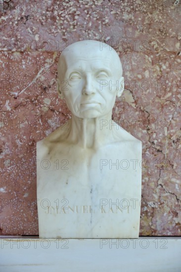 Marble bust of Immanuel Kant against a reddish background, Walhalla, Donaustauf, Regensburg, Bavaria, Germany