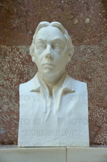 Marble bust of Käthe Kollwitz in front of a reddish background, Walhalla, Donaustauf, Regensburg, Bavaria, Germany