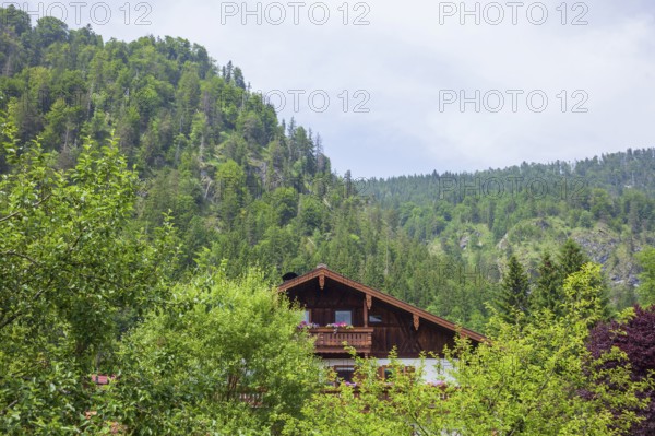 Old house with forest, Reit im Winkl, Chiemgau, Upper Bavaria, Bavaria, Germany