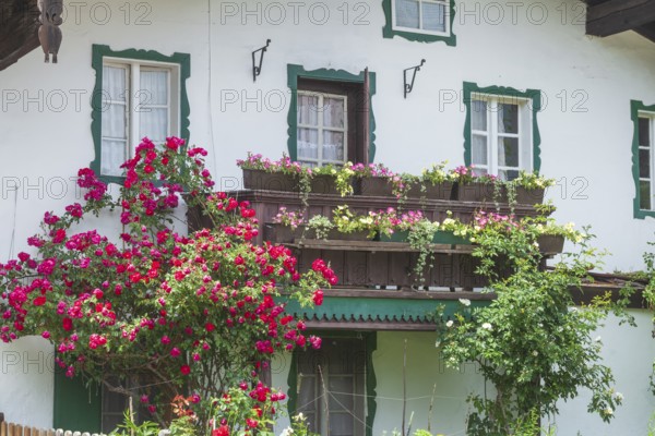 Balcony with flowers and flower boxes on an old house, Reit im Winkl, Chiemgau, Upper Bavaria, Bavaria, Germany