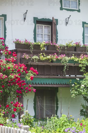 Balcony with flowers and flower boxes on an old house, Reit im Winkl, Chiemgau, Upper Bavaria, Bavaria, Germany