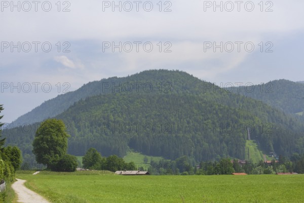 Landscape with mountains and meadow, Reit im Winkl, Chiemgau, Upper Bavaria, Bavaria, Germany