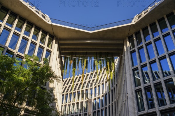 Architecture, catering and commercial real estate, Am Tacheles, Oranienburger Straße, Berlin, Germany