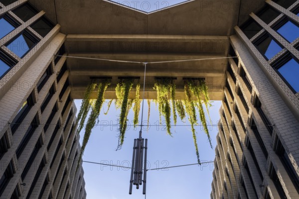 Architecture, catering and commercial real estate, Am Tacheles, Oranienburger Straße, Berlin, Germany