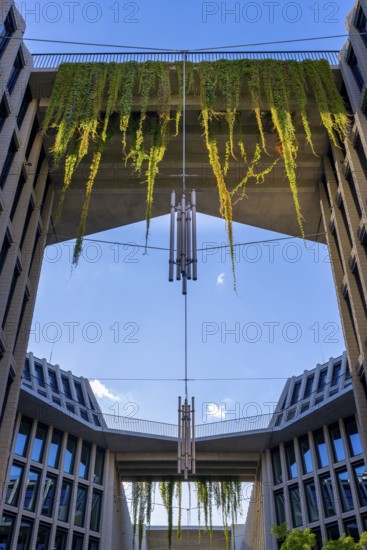 Architecture, catering and commercial real estate, Am Tacheles, Oranienburger Straße, Berlin, Germany
