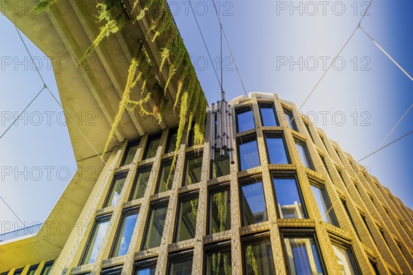 Architecture, catering and commercial real estate, Am Tacheles, Oranienburger Straße, Berlin, Germany