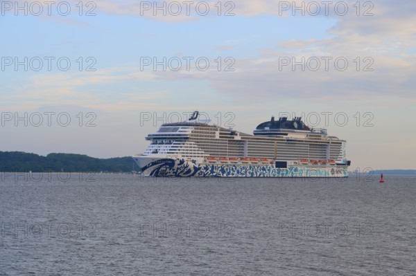 A cruise ship, MSC Euribia, sailing close to the coast across the calm sea, Heikendorf, Plön district, Kiel Fjord, Schleswig-Holstein, Germany