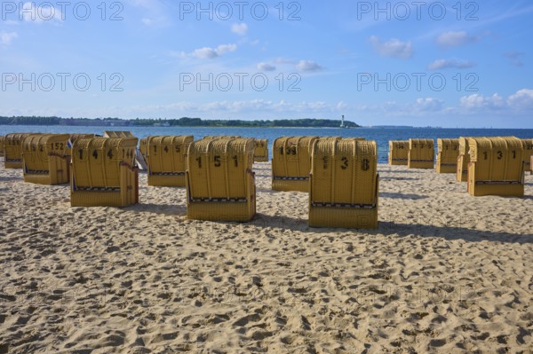 Row of numbered beach chairs under a blue sky on a sunny sandy beach, Heikendorf, Plön district, Kiel Fjord, Schleswig-Holstein, Germany