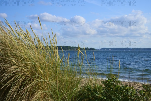 Beach dunes overlooking the sea under a partly cloudy sky, Heikendorf, Plön district, Kiel Fjord, Schleswig-Holstein, Germany